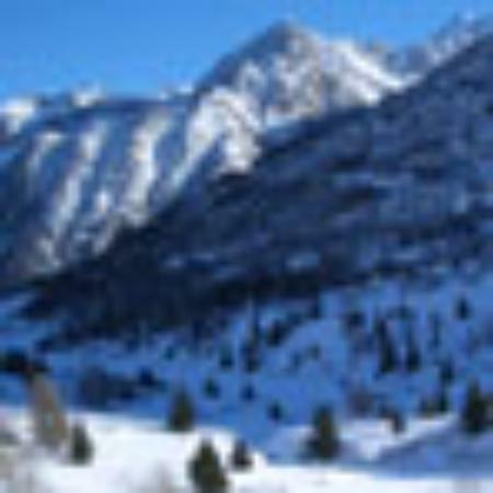 Le Bistrot du Patissier